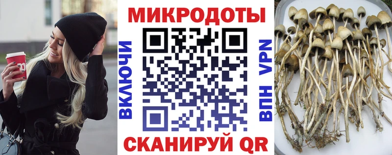 Купить закладки  Остров  Псилоцибиновые грибы Psilocybine cubensis 